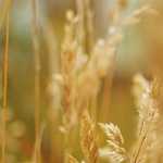 火星逆行終了します2014