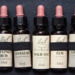 イルカのエッセンスで癒される?