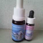 ピンクイルカでハートを開く