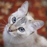 ハーフサムでエネルギーの流れを知る