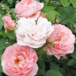 チャンス！仕事もプライベートもレベルUPできる2018年射手座満月