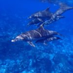 【潜在意識の力1】ポジティブな事を信念にして生きる