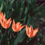 【潜在意識の力2】ネガティブな思いは現実を崩す