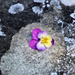 水瓶座太陽期は意識改革の始まり！自己改善や改革を始めたい2016年1月5週目の運気