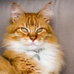 注意！火星逆行と海王星でありえないことが起こりやすい2016年４月５週目の運気