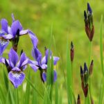 未来へのイメージと今の自分のギャップを知る2016年5月1周目の運気