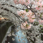 価値の高い上質なものに触れて五感を刺激する2018年４月１周目の運気