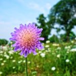 乙女座水星期は神経質で排他的になりやすいので注意が必要2017年9月3週目の運気