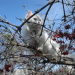 注意！水星逆行開始でトラブルが起こりやすい2017年12月2週目の運気