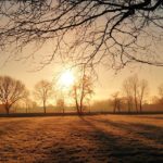 1年間の成果を確認する!2017年冬至