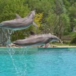 もっとワクワクして心躍ることを選択したい！2018年２度目の獅子座満月