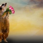 魚座の季節は言葉とイメージで自分を表現する2018年3月1週目の運気