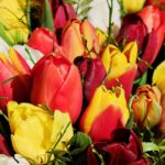 こんなはずじゃなかった！転職したけれど全然ハッピーじゃない