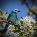 自分らしくあるために!信念を見直して前進する2018年3月5週目の運気