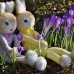 牡牛座太陽期到来!腰を据えてテーマに取り組む2018年4月3週目の運気