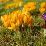 生き方が問われる！現実化エネルギーが強くなる2018年４月２週目の運気