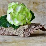 注意が必要!海王星の影響で詐欺や喪失しやすい2018年6月2週目の運気