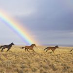 不要な習慣やパターンを手放す2018牡羊座満月