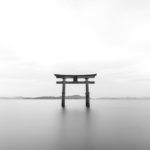 2019蟹座満月は不要な思いを手放し居場所を作る