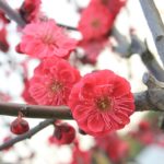 過去の自分を超える立春2019年2月1周目の運気