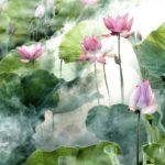 次のステージに向けた手じまいと牡牛座天王星時代が始まる2019年3月2週目の運気