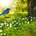 2022年の春分からは新陳代謝をして新しい可能性を広げる